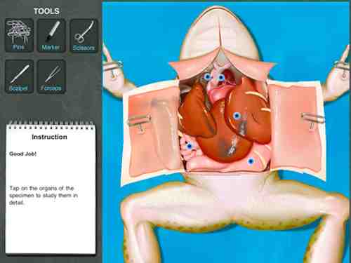 Dissection grenouille iPad